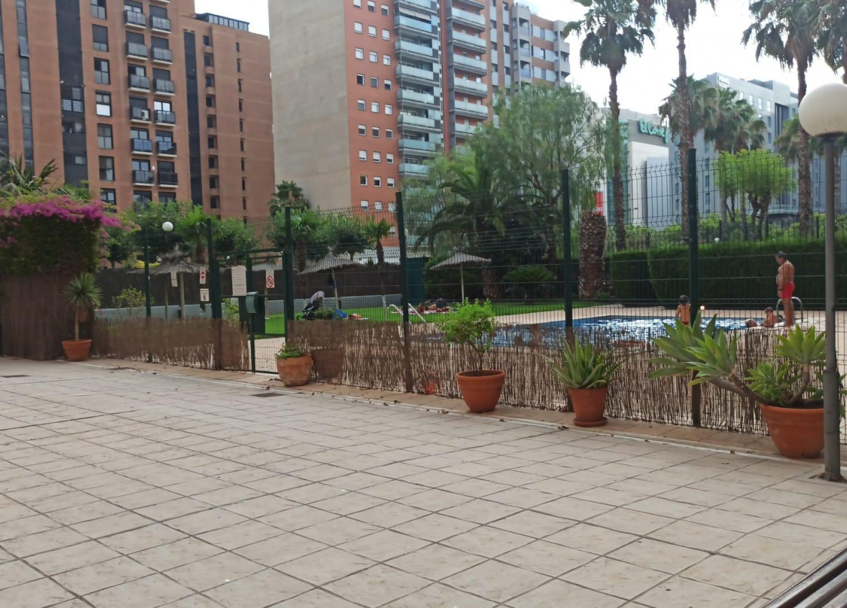 Alquiler a largo plazo - Piso - Valencia - Ciutat de les Arts i de les Ciencies