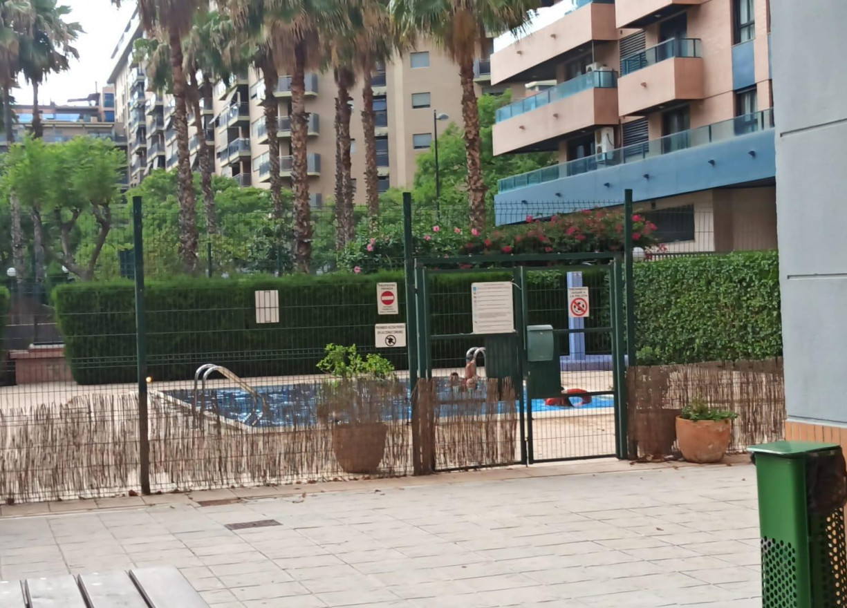 Alquiler a largo plazo - Piso - Valencia - Ciutat de les Arts i de les Ciencies