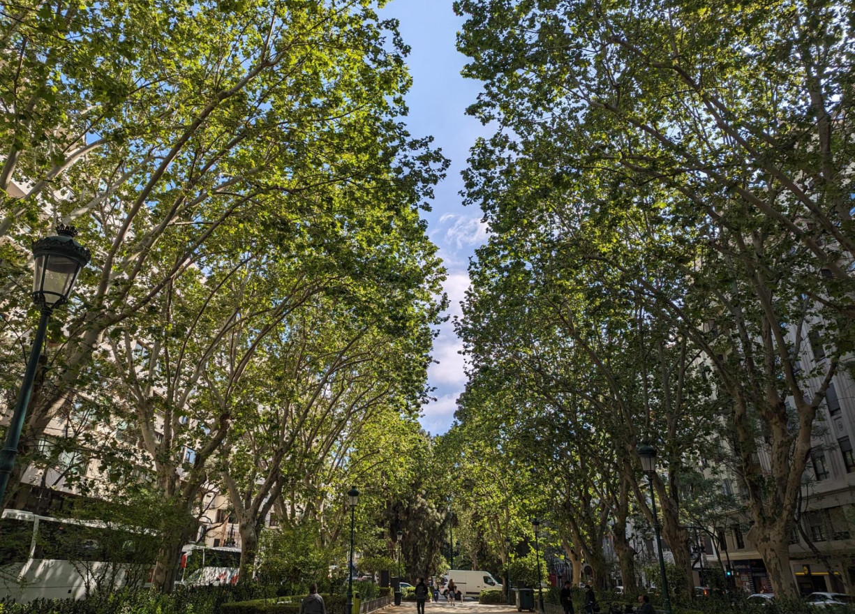 Alquiler a largo plazo - Piso - Valencia - Gran Vía