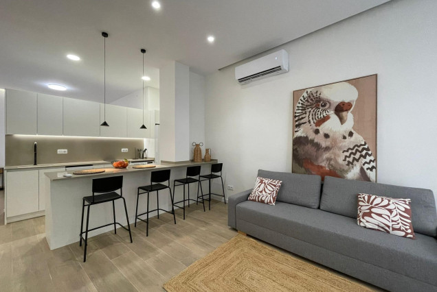 Flat - Long time Rental - Valencia -
                Ciutat Vella