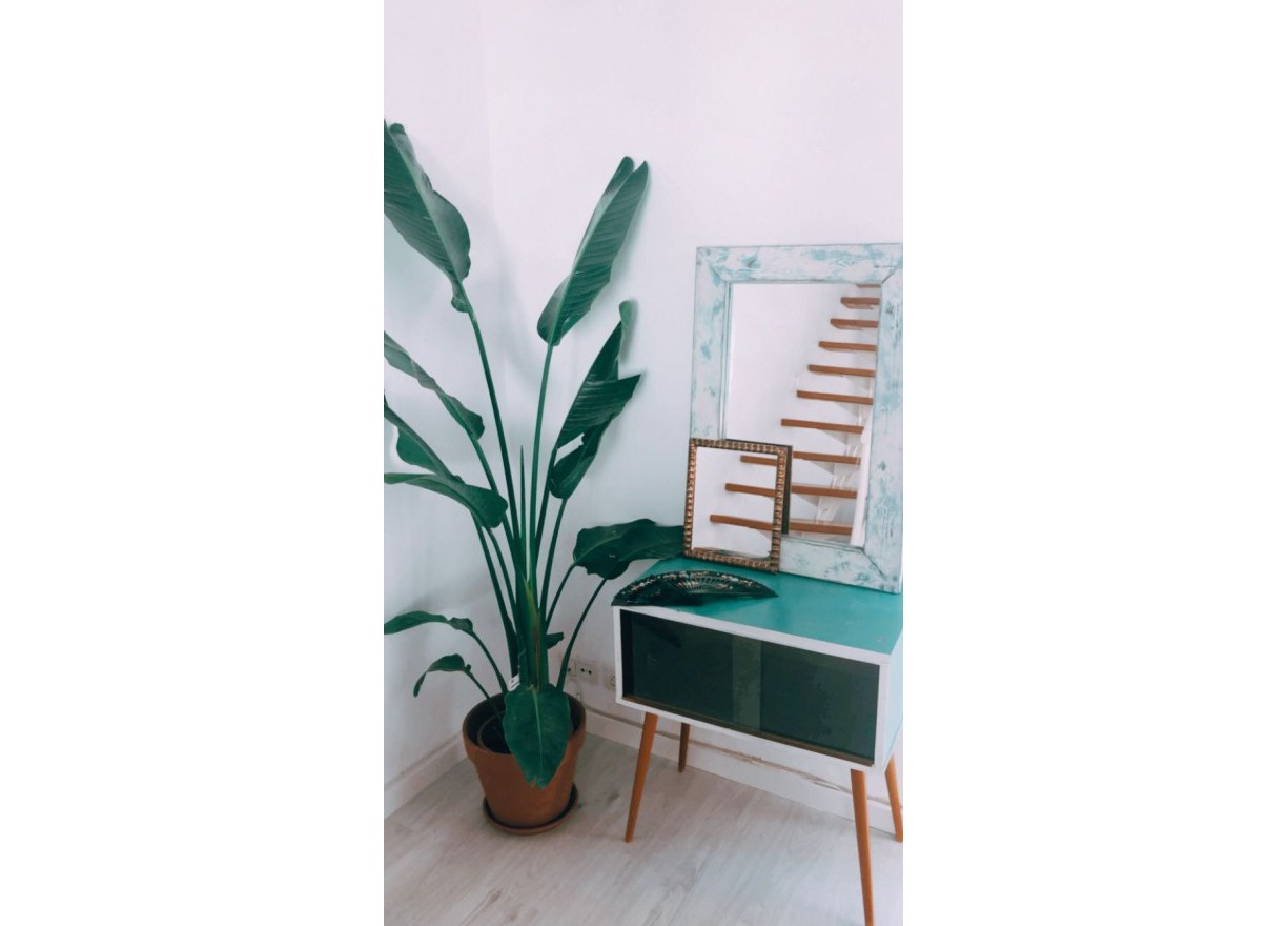 Location longue durée - Vloer - Valencia - Arrancapins