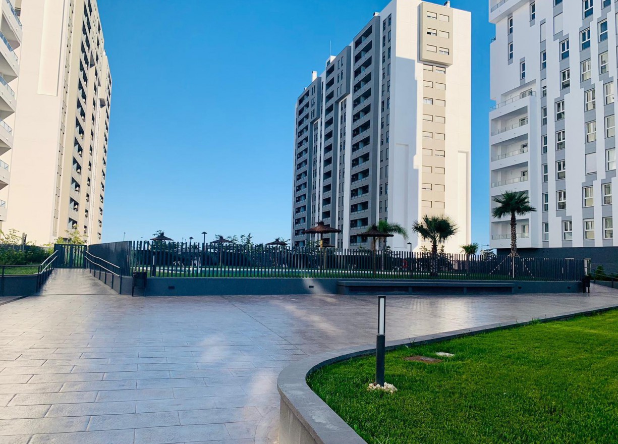Location longue durée - Vloer - Valencia - Malilla