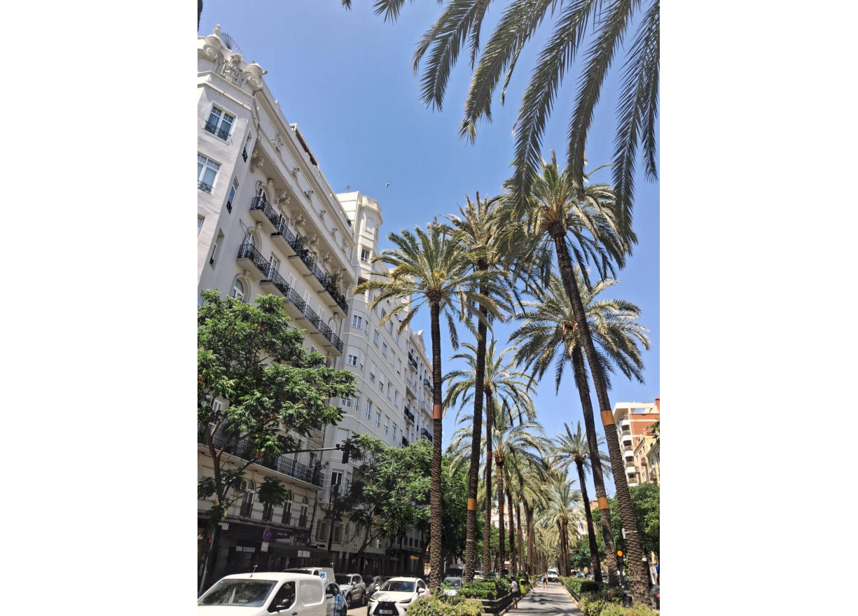 Location longue durée - Vloer - Valencia - Russafa
