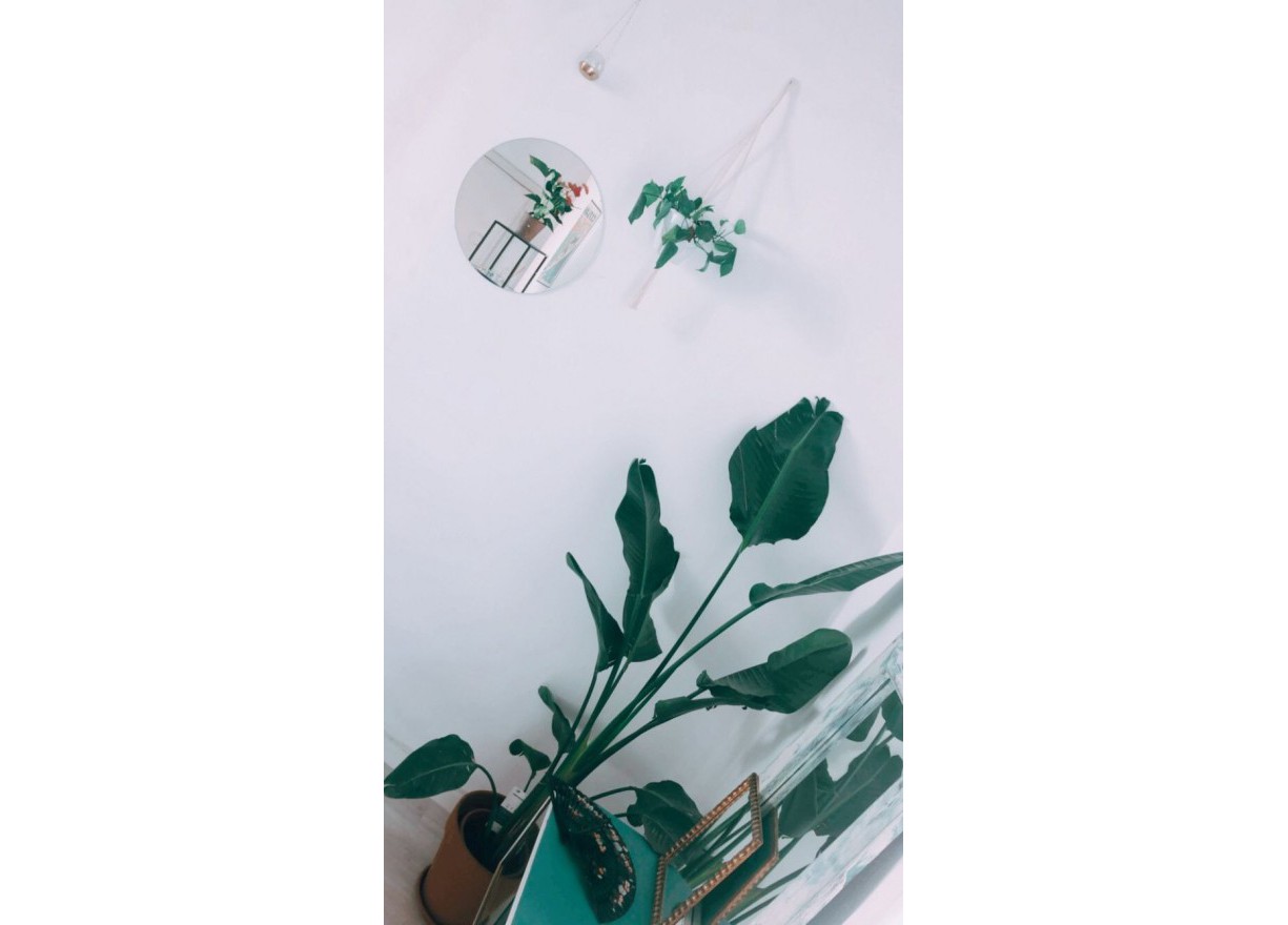 Long time Rental - Flat - Valencia - Arrancapins