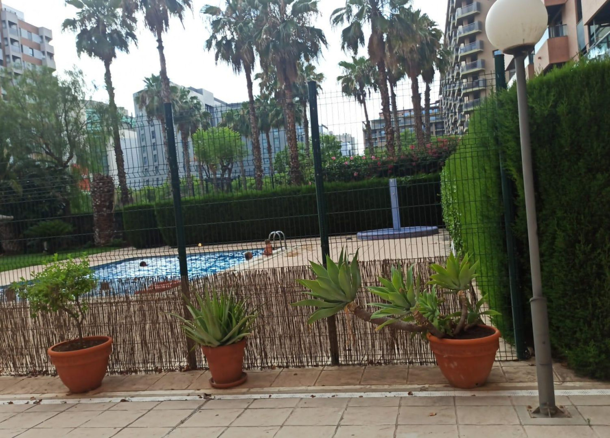 Long time Rental - Flat - Valencia - Ciutat de les Arts i de les Ciencies