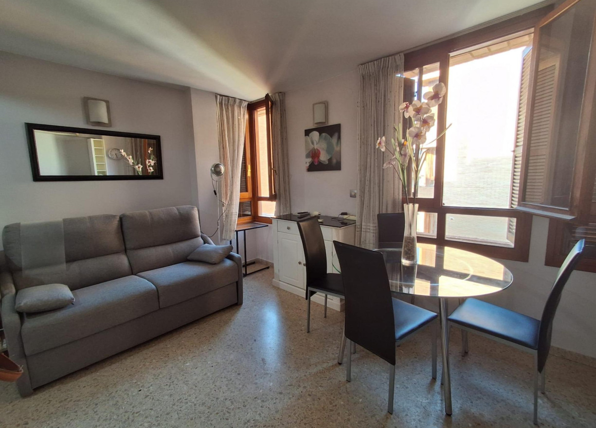 Long time Rental - Flat - Valencia - Ciutat Vella