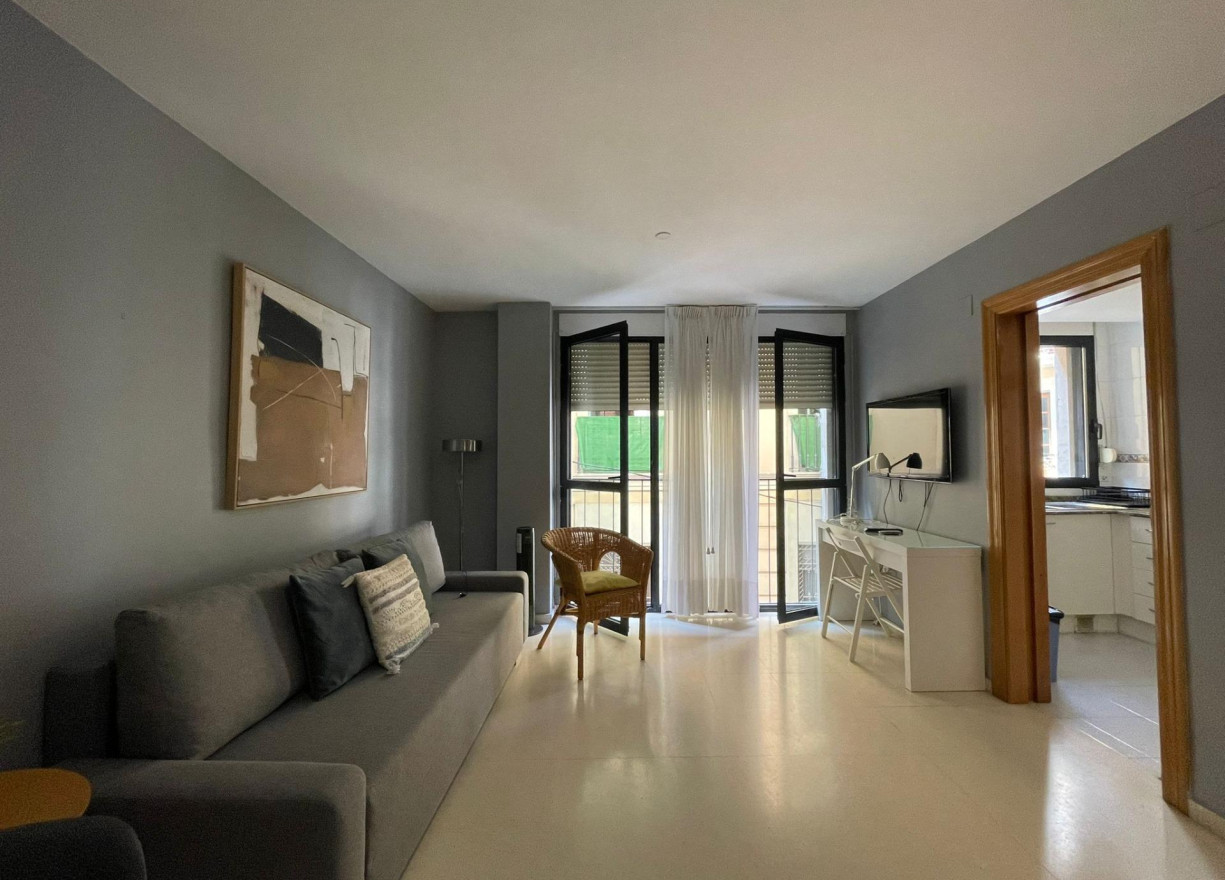 Long time Rental - Flat - Valencia - La Seu