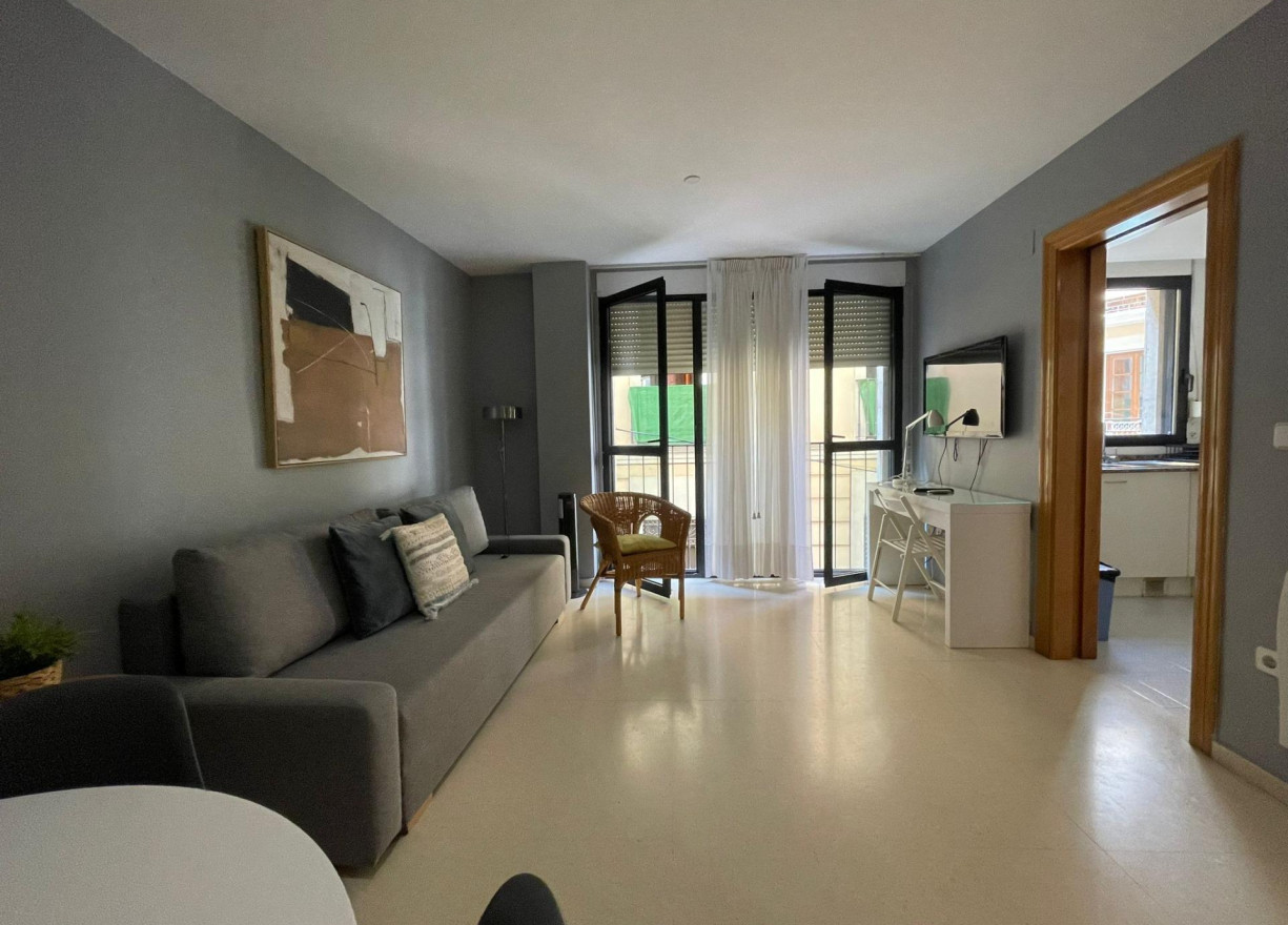 Long time Rental - Flat - Valencia - La Seu