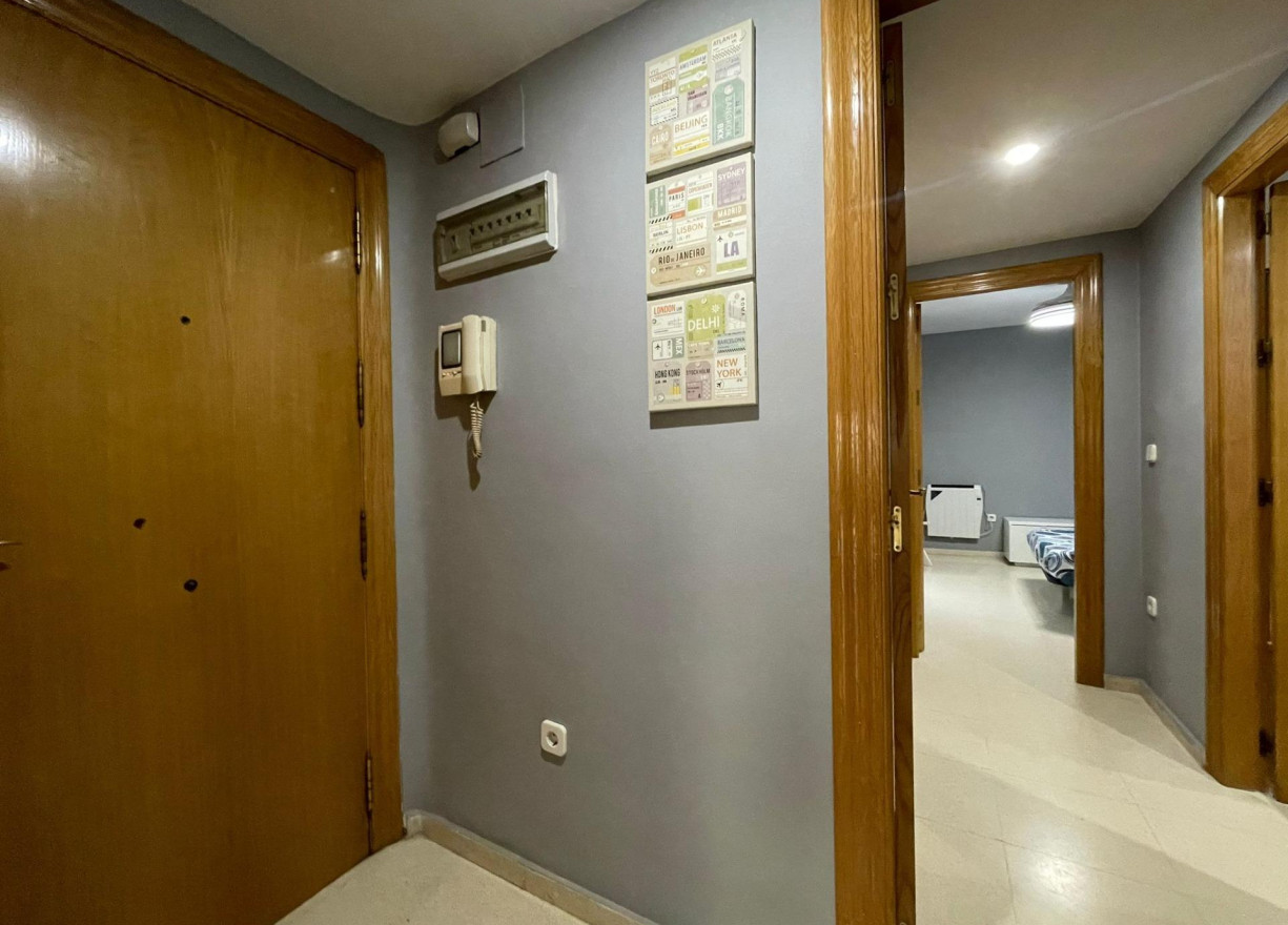 Long time Rental - Flat - Valencia - La Seu