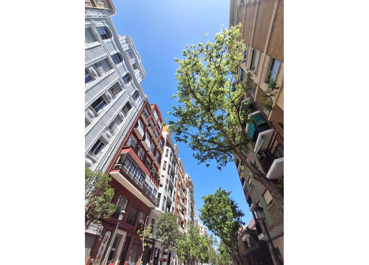 Long time Rental - Flat - Valencia - Russafa