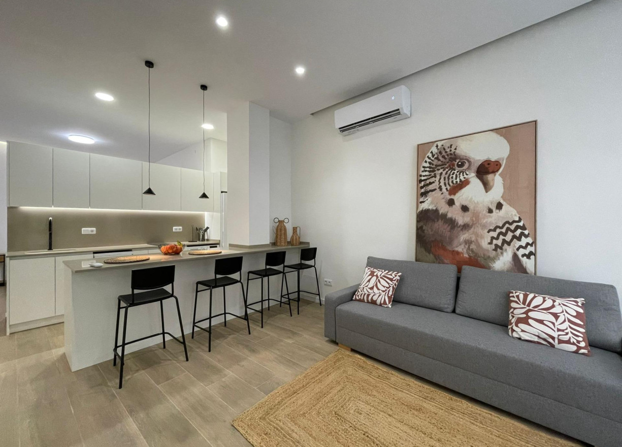 Long time Rental - Ground floor - Valencia - Ciutat Vella