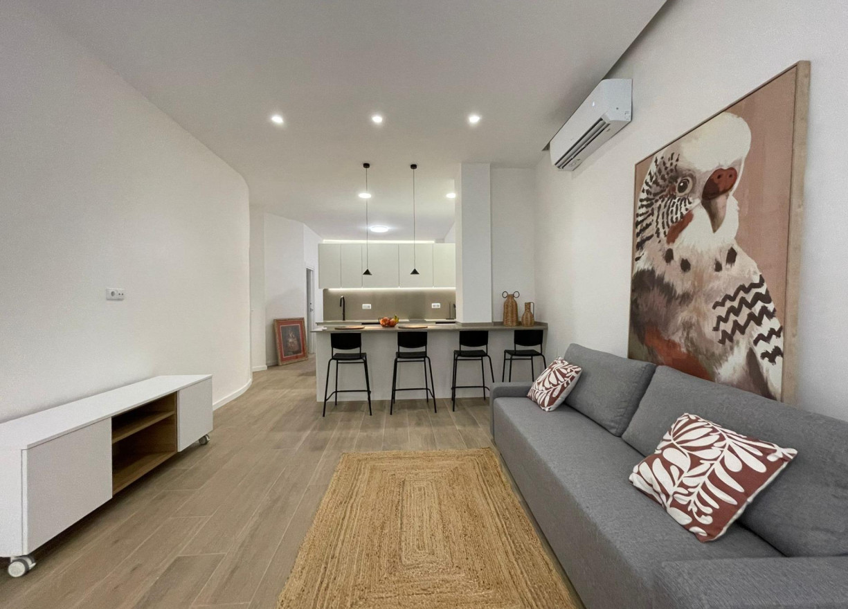 Long time Rental - Ground floor - Valencia - Ciutat Vella