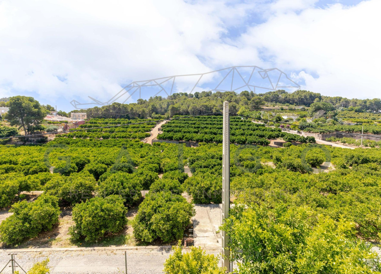 Venta - Chalet - Sagunto - Zona centro