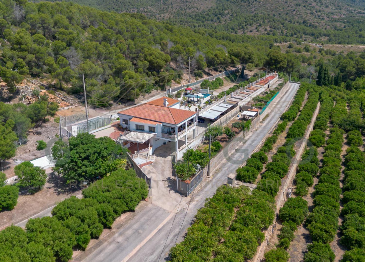 Venta - Chalet - Sagunto - Zona centro