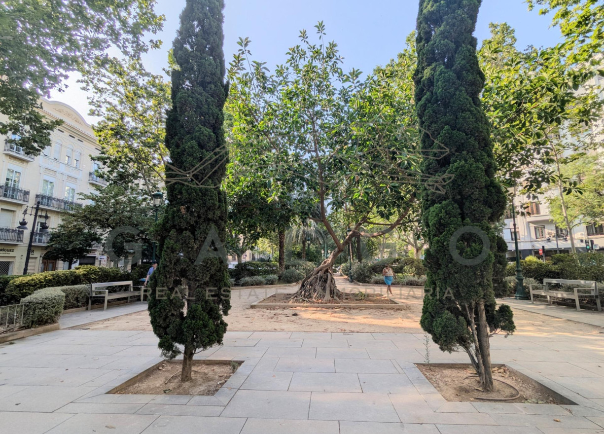 Venta - Piso - Valencia - El Botanic