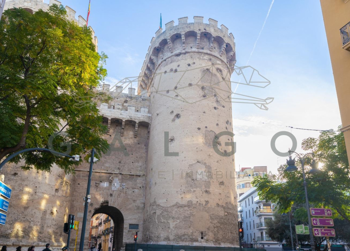 Venta - Piso - Valencia - El Botanic