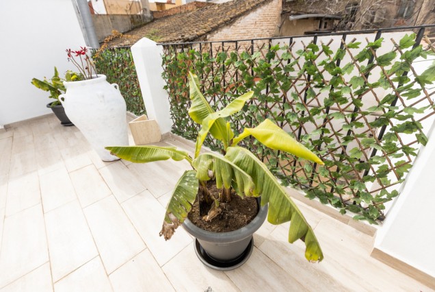 Long time Rental - Villa - Valencia - Benicalap