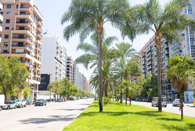 Location longue durée - Vloer - Valencia - Penya-Roja - Alameda