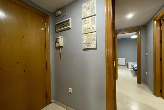 Long time Rental - Flat - Valencia - La Seu