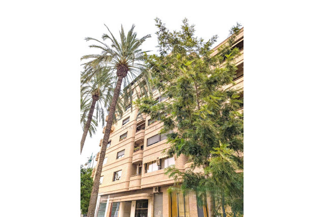 Revente - Penthouse - Valencia - Algiros