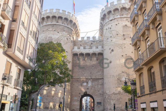 Sale - Flat - Valencia - El Botanic