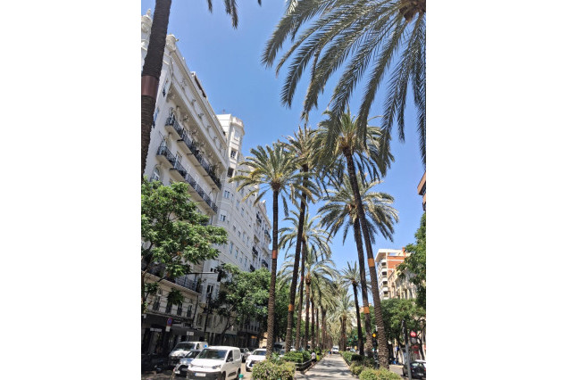 Alquiler a largo plazo - Piso - Valencia - Russafa