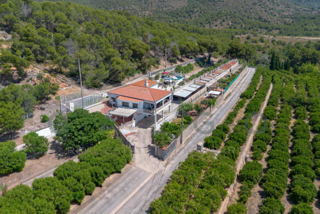Venta - Chalet - Sagunto - Zona centro