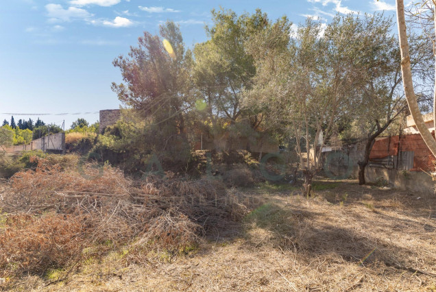 Revente - Chalet - Torrent - Monte Real